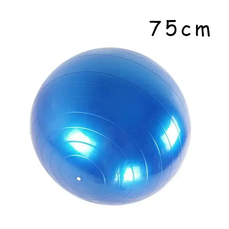 45-85cm Big Yoga Ball PVC Inflatable Yoga Exercise Ball Thickened Gym Fit Ball Exercise Home Fitness Pilates Sport Balance Ball